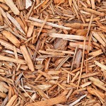 Špranje Ivana Zrinušića