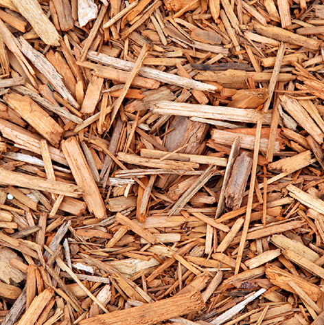 Špranje Ivana Zrinušića